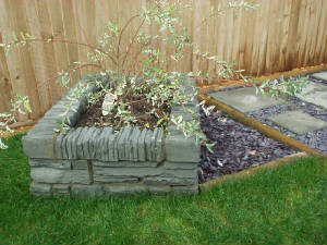 p1010007.jpg