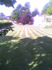 picture061.jpg